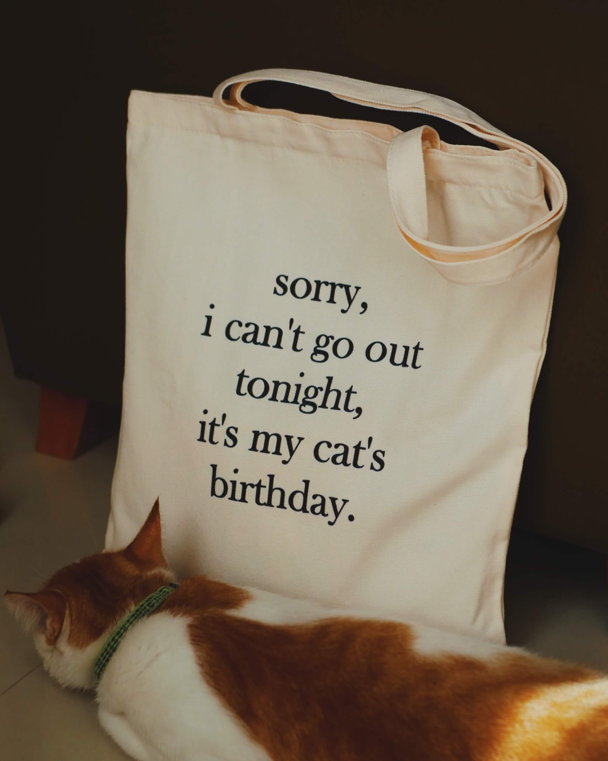 Tote bag with text 'sorry, i can't go out tonight, it's my cat's birthday' next to a cat.