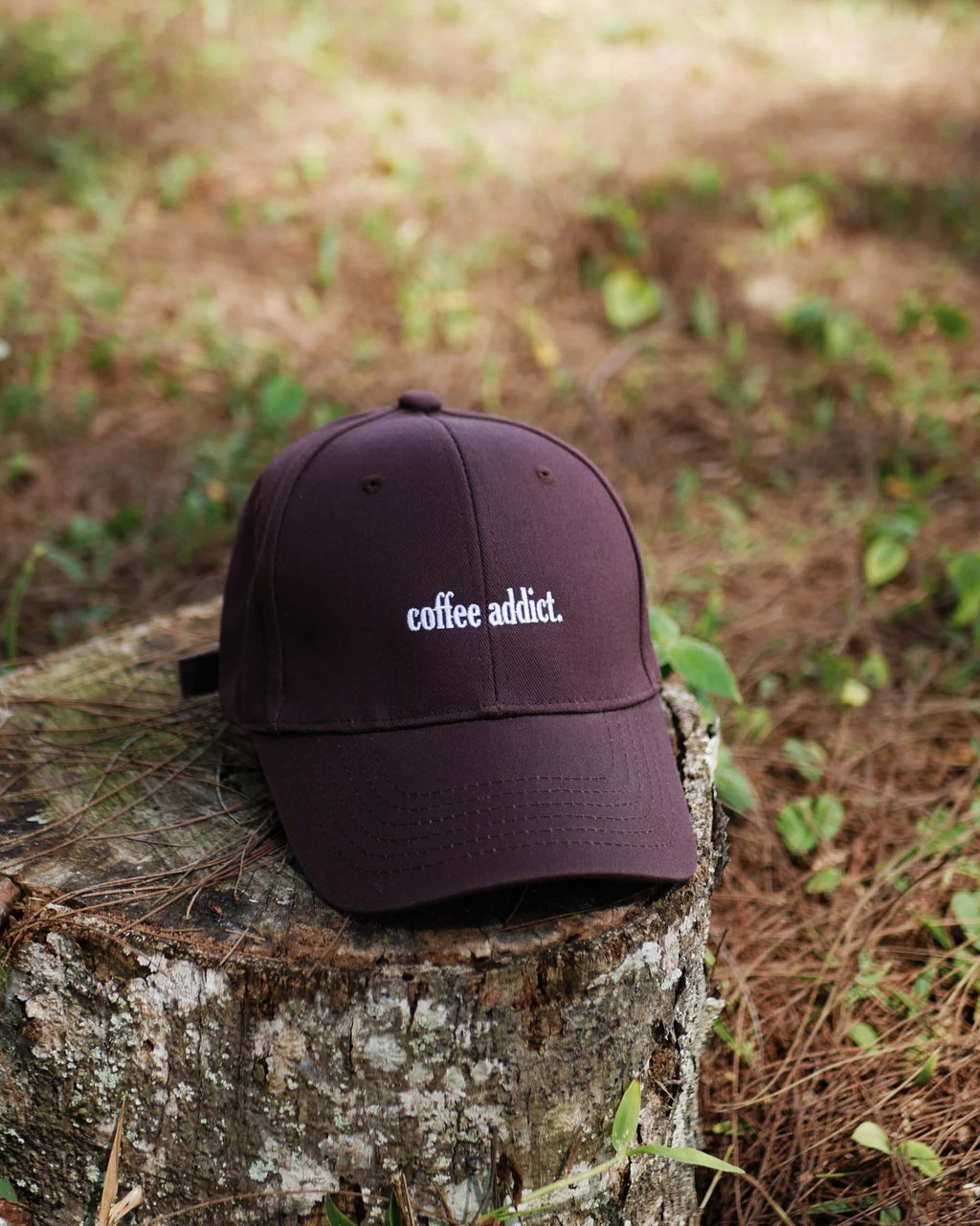 Brown cap with 'coffee addict' text on a tree stump in a natural setting