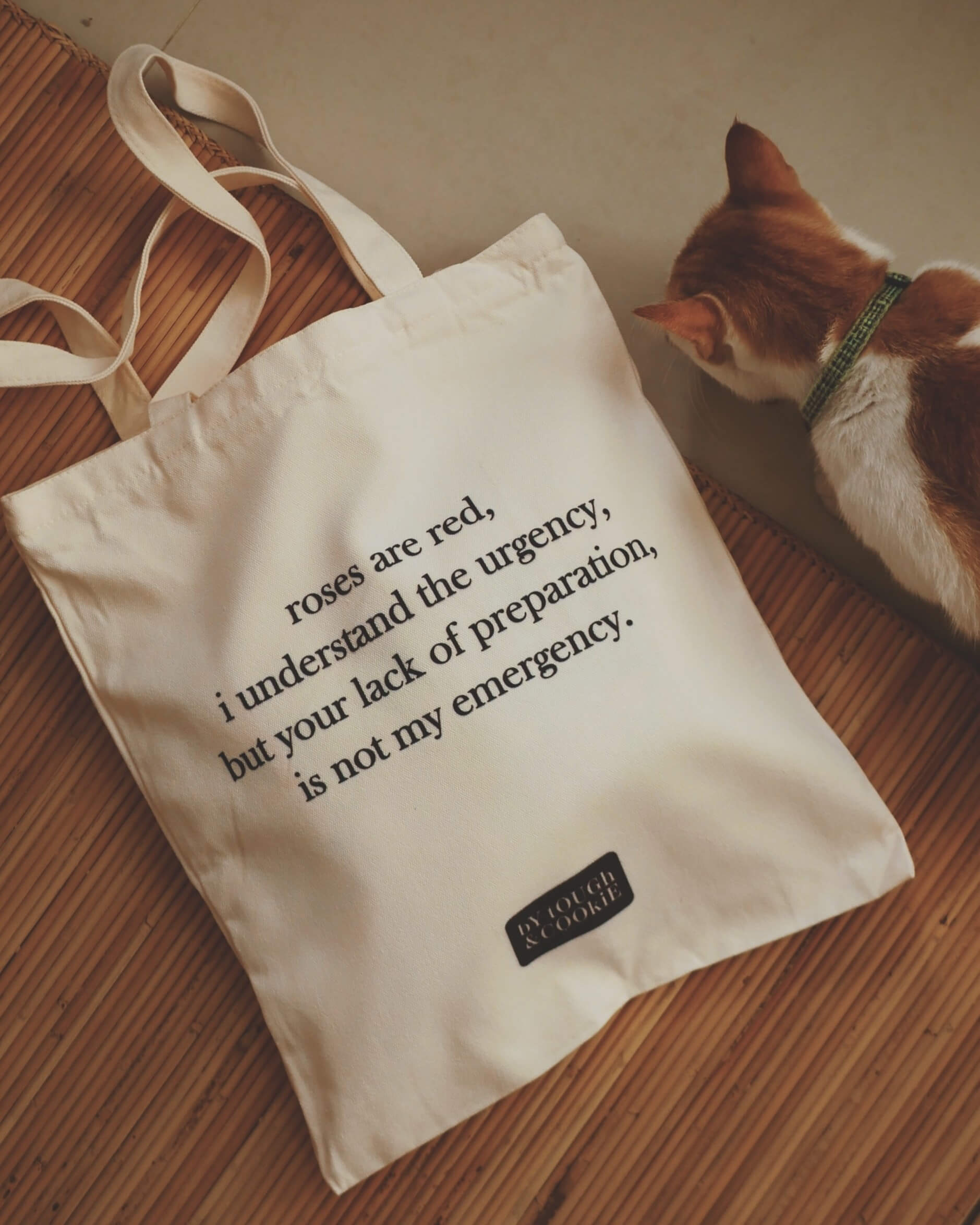 Tote bag with humorous text on a wooden floor with a cat in the background