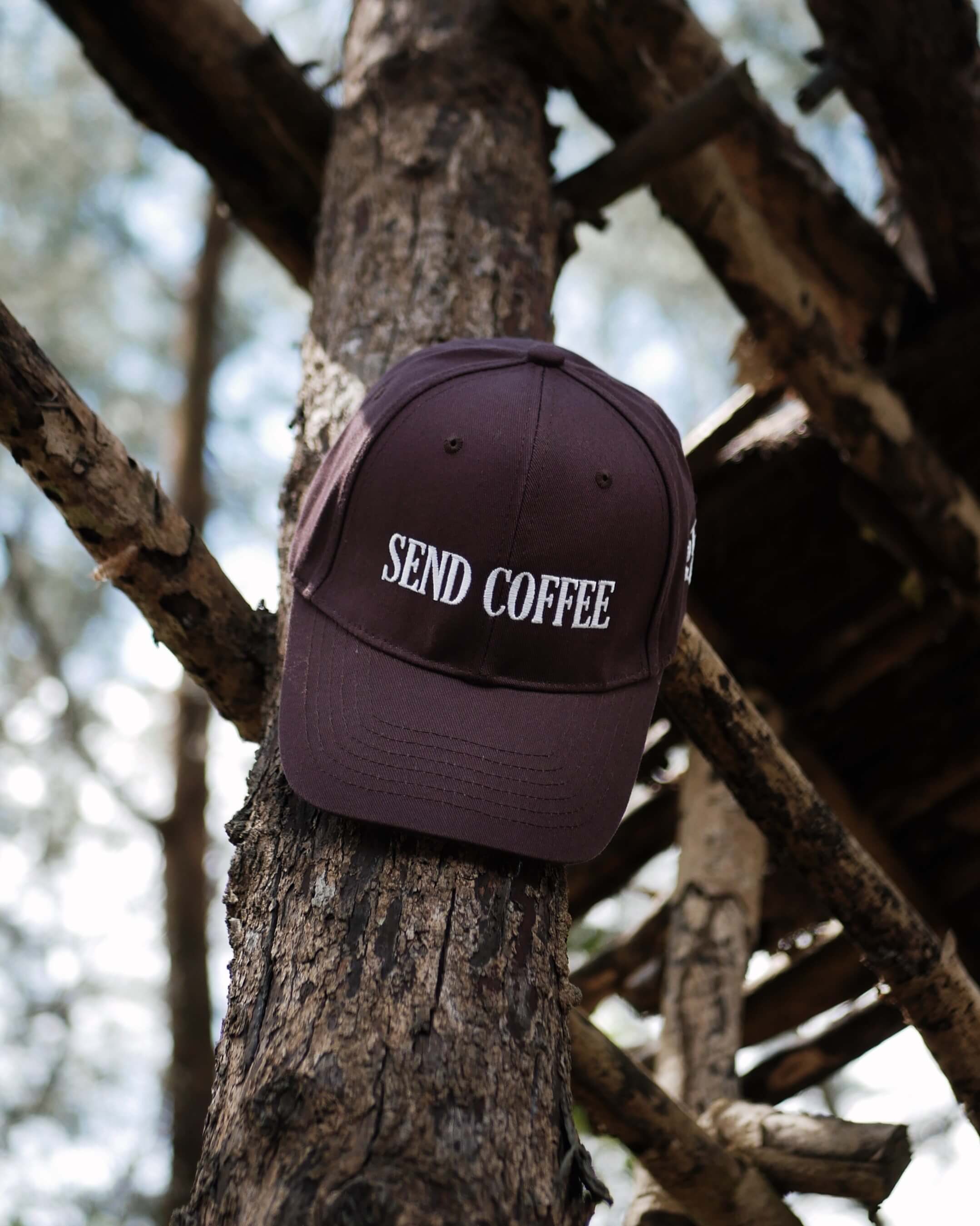 Brown cap with 'SEND COFFEE' text hanging on a tree branch